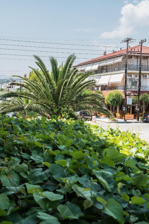 Hotel Alexandros Néoi Póroi Rom bilde